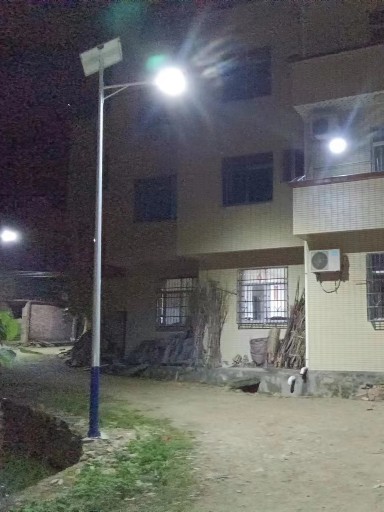 讓土地自由呼吸：無化學(xué)干預(yù)的蟲害管理方案