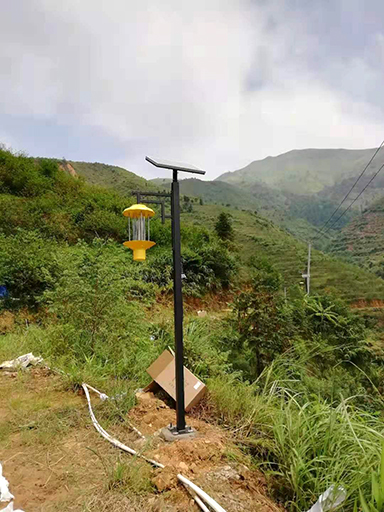 廣東茂名信宜市太陽(yáng)殺蟲(chóng)燈工程案例（1）