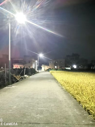 四川南充營(yíng)山：鄉(xiāng)村裝上太陽能路燈 村民已不“打黑摸”